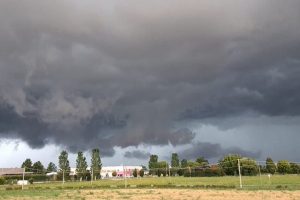 Extreme weather to cost Italian farmers $6.5 bn: Report