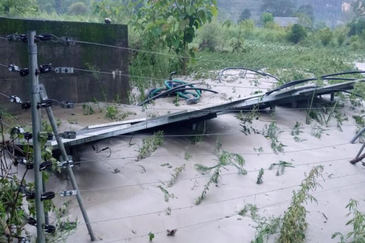 Himachal Pradesh News, HP Farmer, flood destroys crops