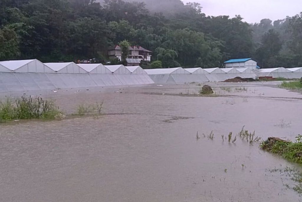 Himachal Pradesh News, HP Farmer, flood destroys crops