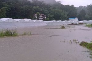 HP farmers struggle to rebuild after flood destroys crops, leaves behind debris