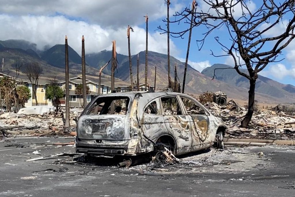 Hawaii wildfires