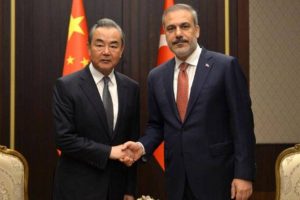 Turkiye, China should expand cooperation in tech and energy, says official