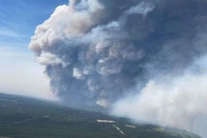 Cape of Good Hope closed as wildfire rages on near Cape Town in South Africa