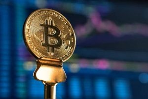 Mega Bitcoin rally helps other crypto tokens reach new highs