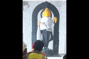 First ‘look’ of Ram Lalla idol inside Ayodhya temple revealed