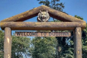 Three poachers arrested in Dudhwa Tiger Reserve