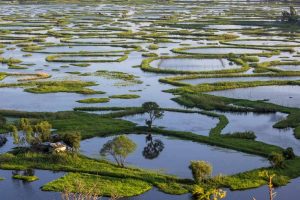 NE India’s largest freshwater body in Manipur hit by illegal fishing, hunting