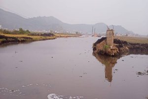 Lamphelpat lake rejuvenation, a triumph for conservation efforts in Manipur