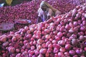 India allows onion export to Sri Lanka, gives additional quota to UAE