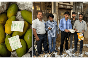 Food Safety Dept seize fruit ripening chemicals, issues challans to 4 traders in Jaipur