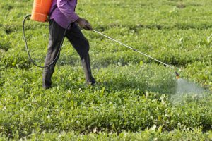 Indian fertilizer industry on track to reach Rs 1.38 lakh cr by 2032 amidst robust growth and strategic innovations