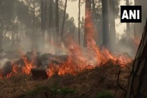 Forest fire incidents on rise in J-K’s Rajouri Forest Division this summer, 8 incidents reported so far, says official