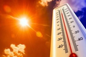 Several parts of Rajasthan continue to grapple with severe heatwave: IMD