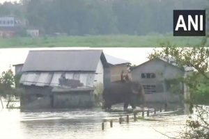 Assam: Flood situation remains grim in Nagaon; death toll from deluge rises to 84