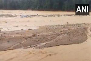 Wayanad landslides: Over 80 bodies recovered as rescue operations underway