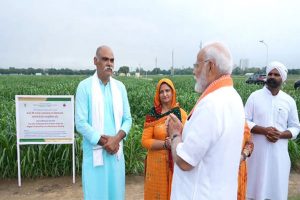 Significant milestones expected as farmers adopt natural farming: PM Modi