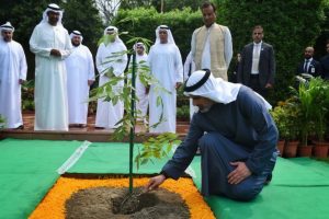 Abu Dhabi crown prince plants sapling at Rajghat, continues historic tradition