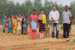 Chhattisgarh Forest Department writes new story of economic prosperity for women