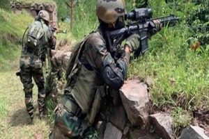 J-K: Exchange of fire between terrorists, security forces in forest area of Srinagar