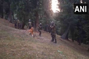 Search operation underway in J-K’s Baramulla after Sopore encounter