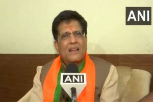 “People of Maharashtra rejected politics of appeasement”: Piyush Goyal after Mahayuti victory