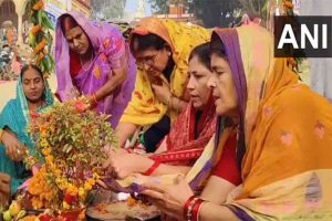 UP: Devotees celebrate ‘Tulsi Vivah’ at Balua Ghat in Prayagraj, marking sacred union of Lord Vishnu, Vrinda