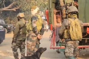 J-K: Search operation launched after suspicious movement detected in Kathua