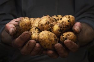 Bengal Cold Storage Association raises alarm over potato movement restrictions