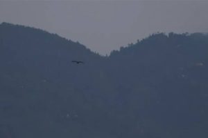 Calm Returns to Jammu and Poonch After Shelling; Amritsar Remains on Red Alert Amid Tensions