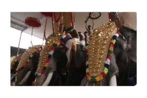 Thrissur Pooram 2025 Begins in Kerala with Grand Processions and Devotees Flocking to Temple Grounds