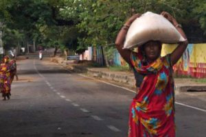 Rural demand revival to boost FMCG, Auto and Mobile phone sales: Report