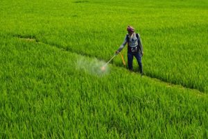 States directed to take strict actions against substandard fertilisers