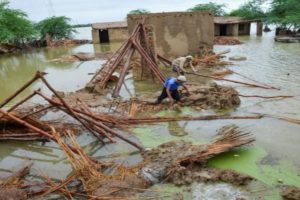 Monsoon Fury Claims 216 Lives Across Pakistan; NDMA Warns of Rising Risks