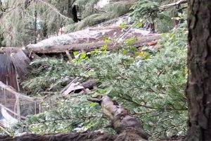 Shimla Landslide Triggers Evacuation in Benmore; Over 30 Families Face Ongoing Risk