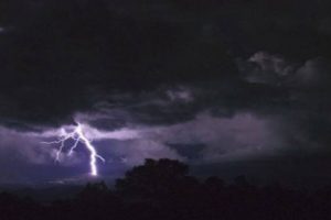 IMD Issues Nowcast Alert for Punjab: Thunderstorms and Rain Expected Across Multiple Districts
