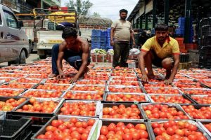 India’s Wholesale Inflation Turns Positive at 0.52% in August, Ends Two-Month Decline