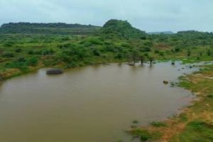 Community-Driven ‘Jal Mandir Abhiyan’ Brings Water Relief to Gujarat’s Kutch